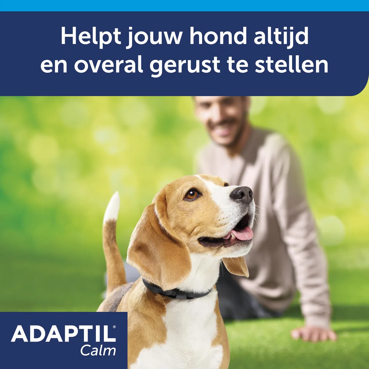 Adaptil Calm Halsband - Taglia S - Collare antistress per cani