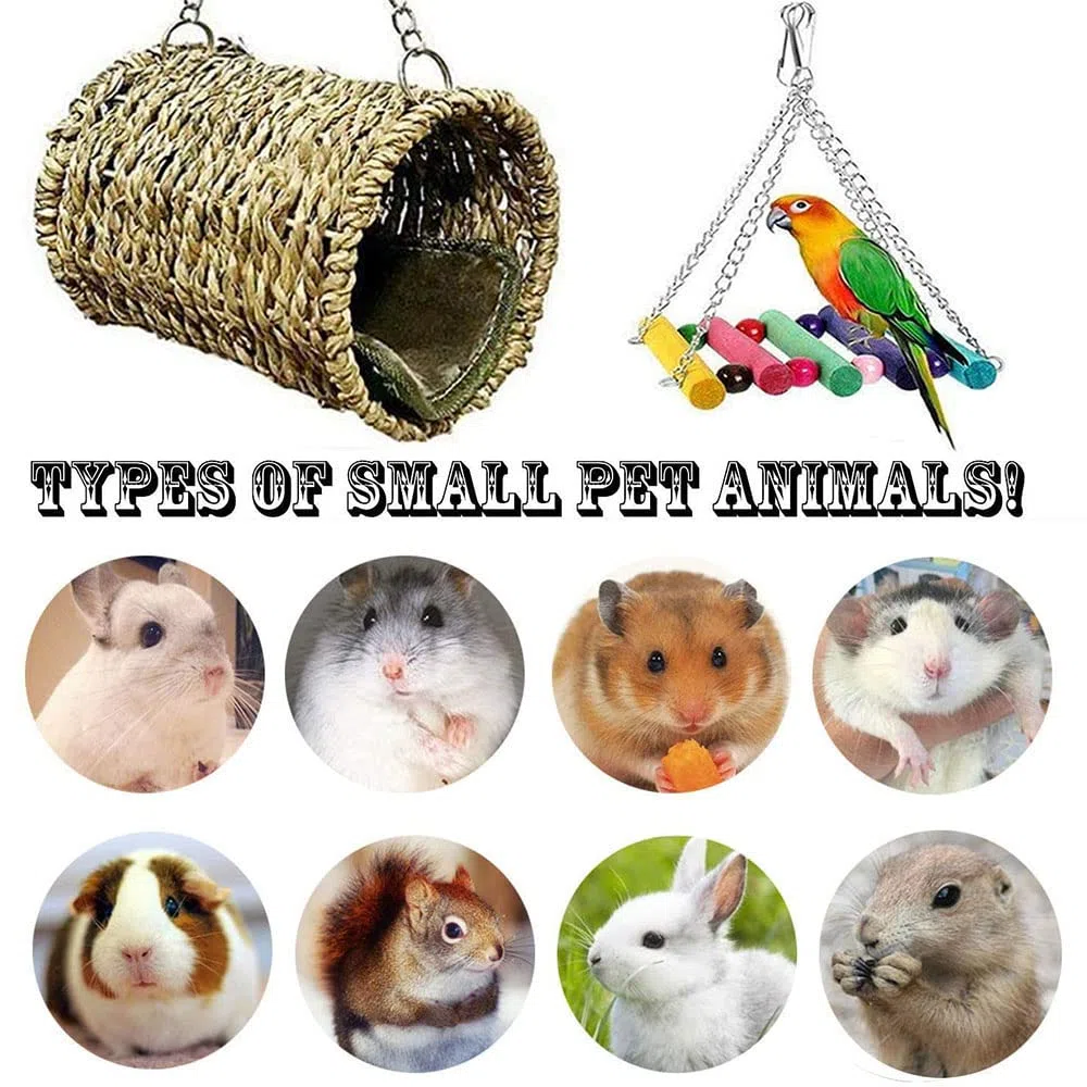 Giochi per Piccoli Animali, 3 Pezzi Naturale Giocattoli per Criceti Scala Altalena Amaca Per Criceto petauro dello zucchero Gerbil Degu Furetti Pappagalli Rompi Noia