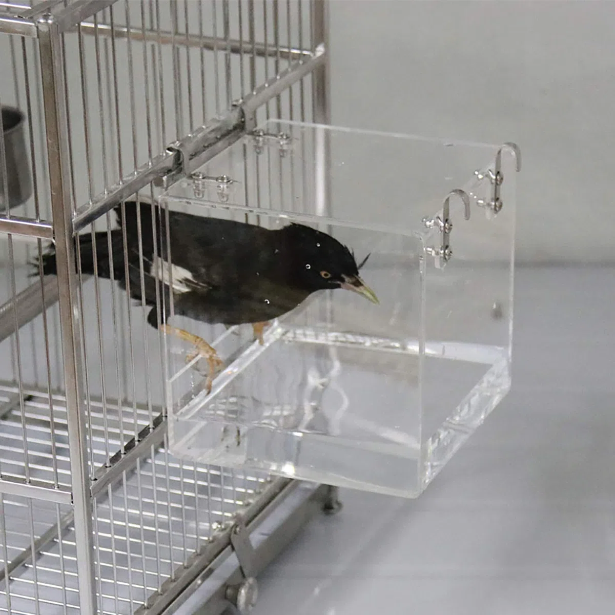 Gabbia da bagno per uccelli, per la pulizia degli animali domestici, vasca da bagno per calopsitta, con ganci per appendere pappagalli, spaziosi parrocchetti, doccia portatile per la maggior parte