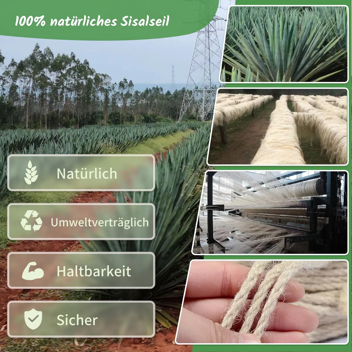 Corda in sisal per tiragraffi 8 mm x 30 m, corda in sisal naturale, per tiragraffi, ricambio per gatti, tiragraffi, corda in sisal per albero tiragraffi, decorazione di case, bianco