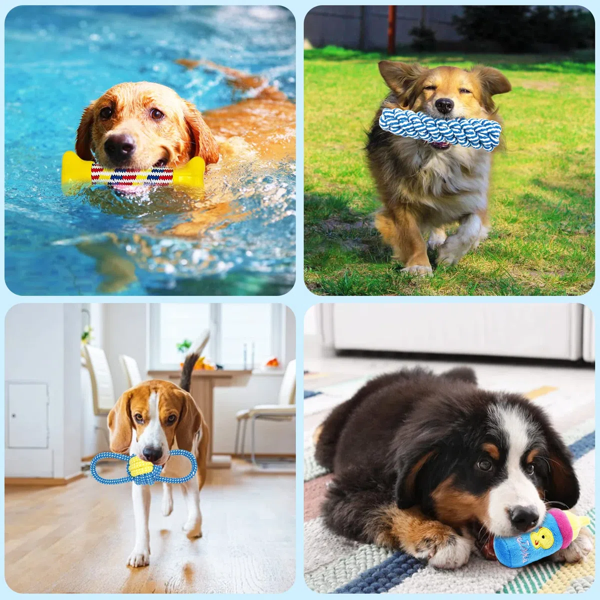 Giocattoli per cani,19 pezzi giocattolo cane corda,Corda di palla di cotone naturale per masticare denti di cucciolo, medi e piccoli giocattoli interattivi per cani