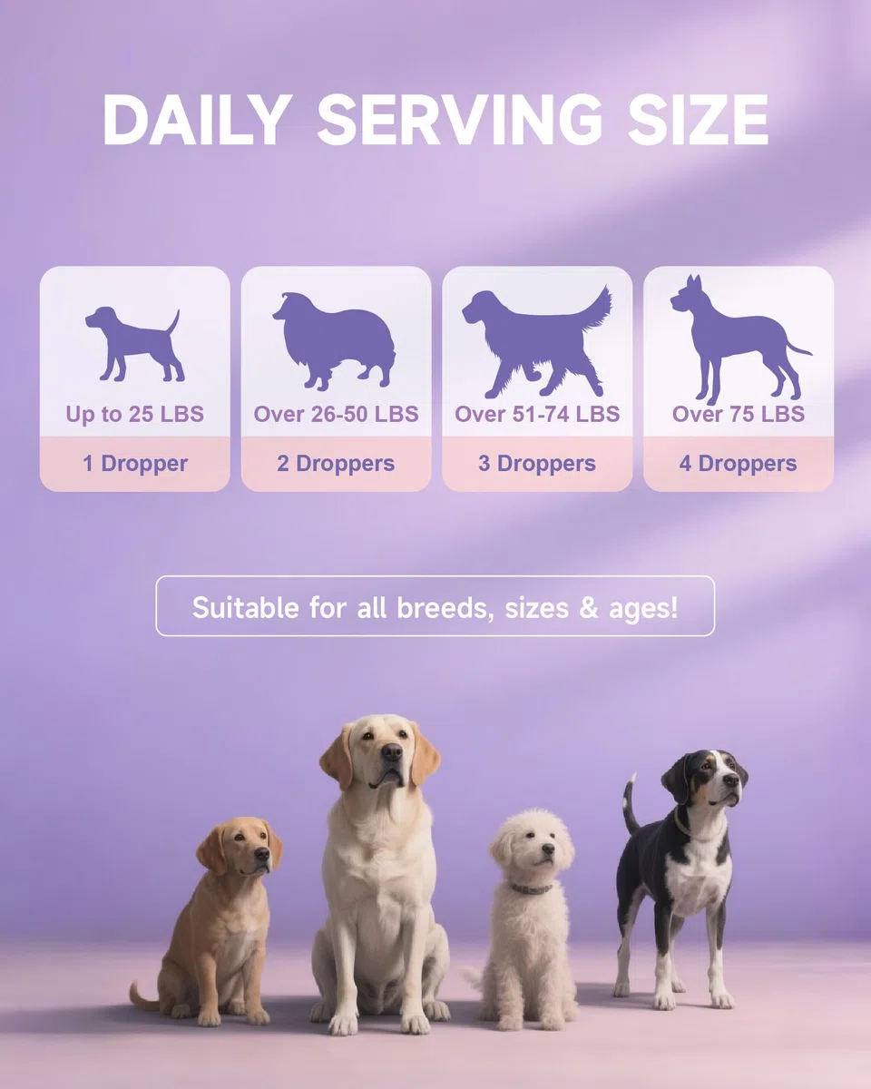 Eagou Diary Collagene per Cani - Supporto per Articolazioni e Flessibilità, Salute della Pelle e del Pelo, Glucosamina, MSM, Olio di Cocco, Vitamina C E, Biotina - Supporto Sistema Immunitario, 60ml