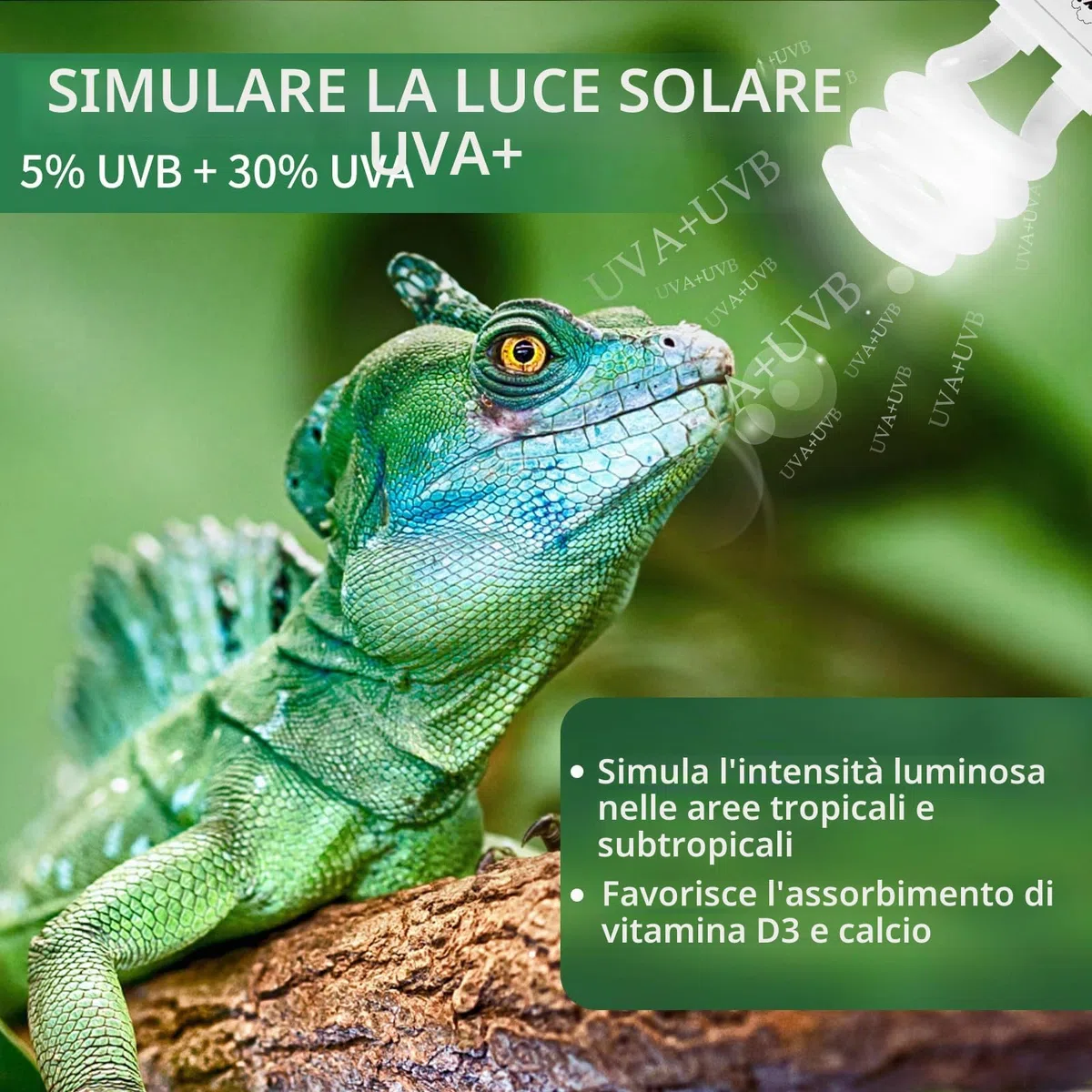 LUCKY HERP UVB terrario, lampada rettile UVA e UVB 150 E27 13 W UVB 5.0, adatta per tartarughe, polli, cani, gabbiani e altri anfibi e rettili