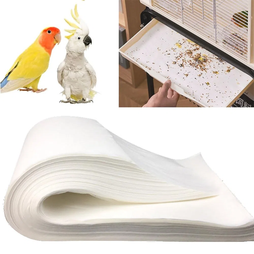 100 fogli di carta usa e getta per gabbie per uccelli, bianchi di grandi dimensioni, pretagliati, assorbenti, accessori per animali domestici, uccelli, pappagalli