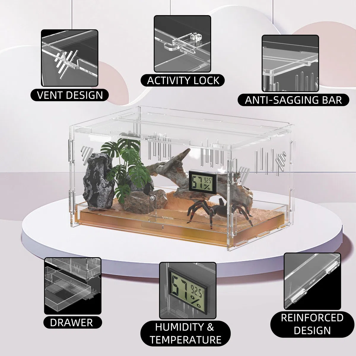 Terrari rettili, con igrometro di temperatura, 30x20x15cm acrilico rettile Allevamento Box Terrario gabbia serbatoio per piccoli rettili insetti Home Office (Terrestrial Small)