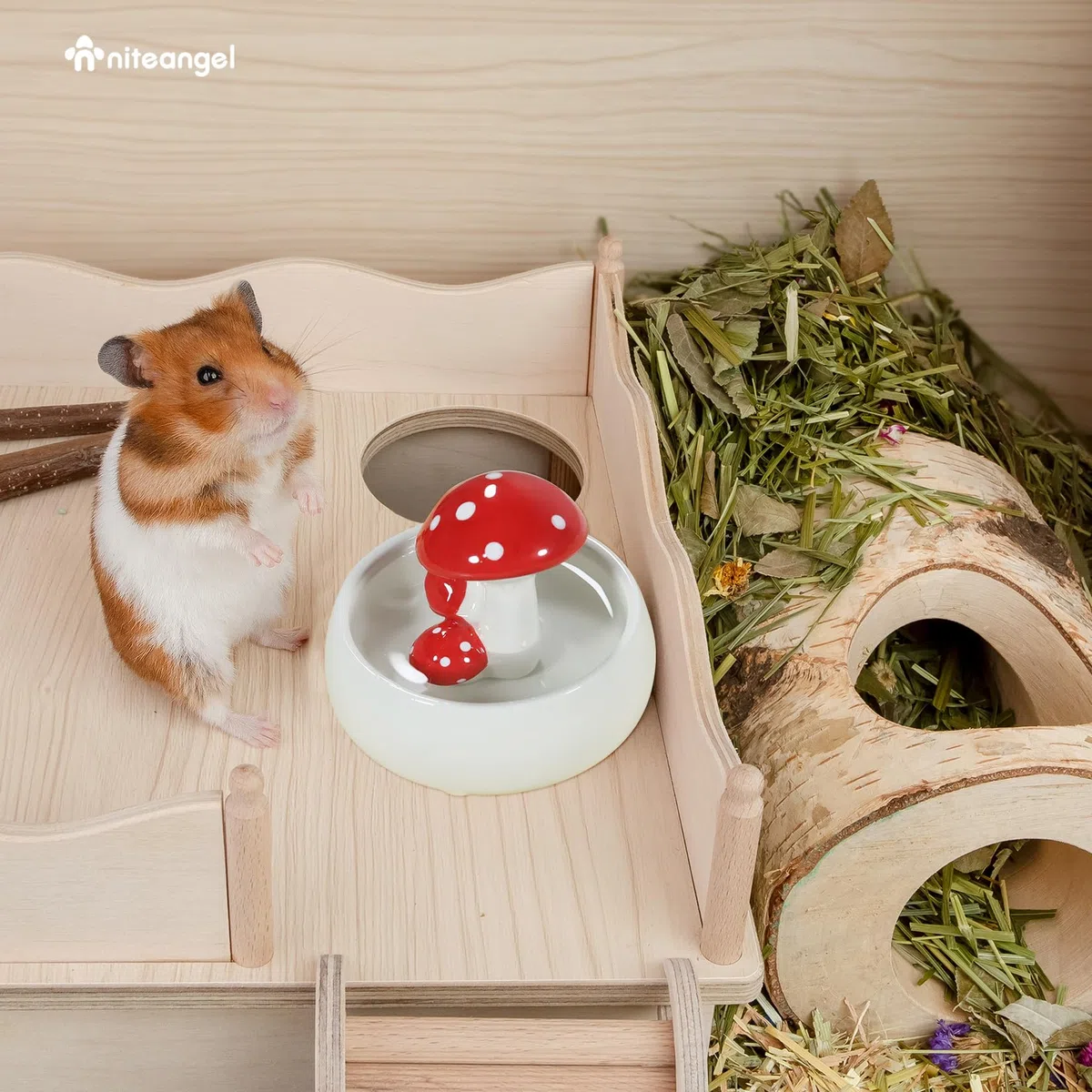Niteangel Ciotole per l'alimentazione e l'acqua per criceti, serie in ceramica per funghi, per criceti siriani nani, gerbilli, topi, ratti o altri piccoli animali domestici di dimensioni simili