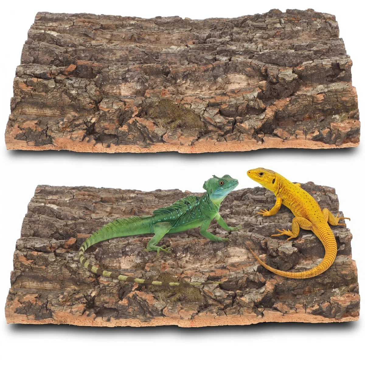 Sfondo in Sughero 2 Pezzi Corteccia Rettile terrario in Sughero per lucertole Ragni granchi eremiti Ragni Geco barbagame