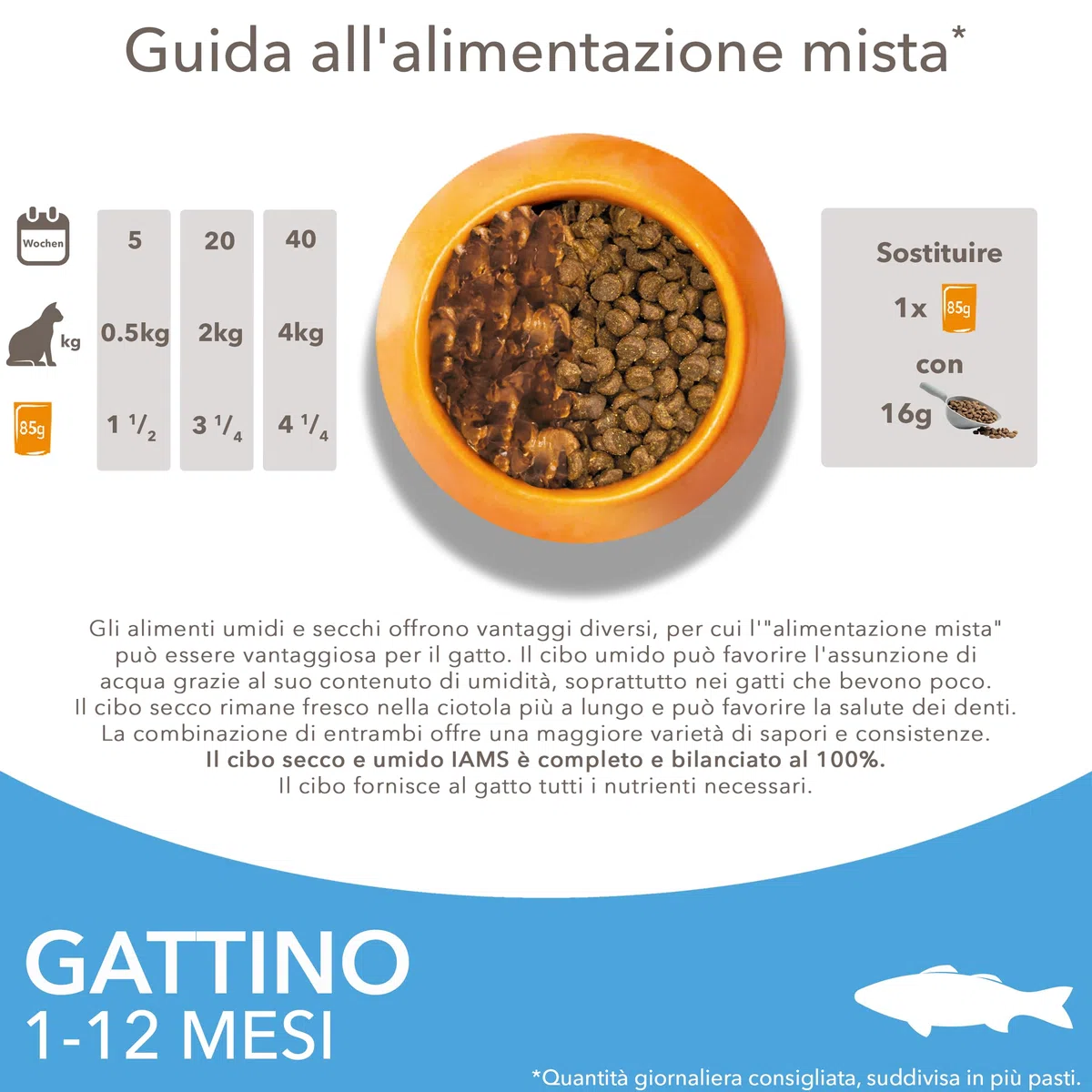 IAMS Cibo secco per gattini con pesce oceanico da 1-12 mesi, 3 kg