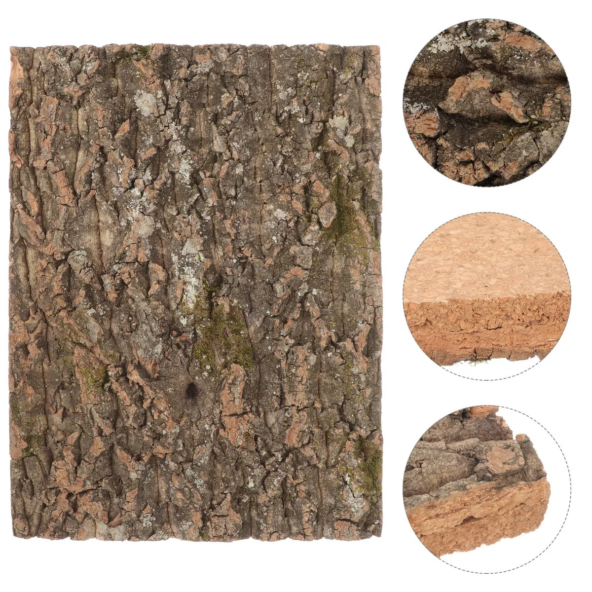 SUPVOX Decorazione Terrario Rettili Corteccia Sughero Naturale, Piattaforma per Rettili Sicura per Arrampicata, per Abbellire Ambienti Lucertole e Animali Domestici