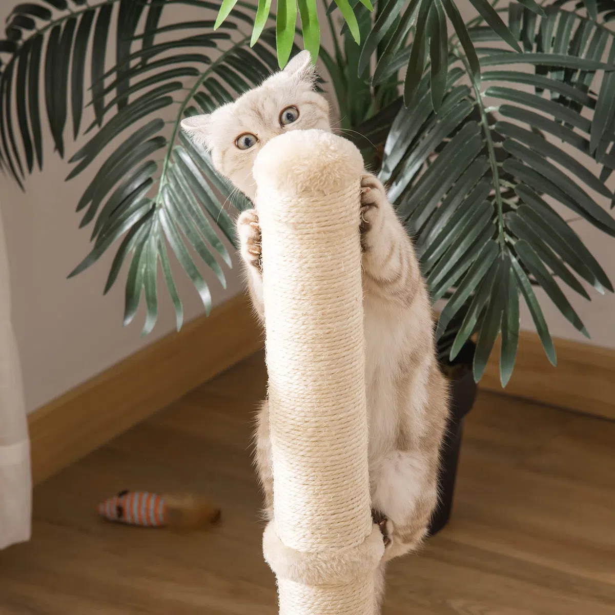 PawHut Tiragraffi per Gatti con Palo in Sisal Alto 60 cm, Mini Albero Tiragraffi Salvaspazio Multiuso con Base in Truciolato, Beige