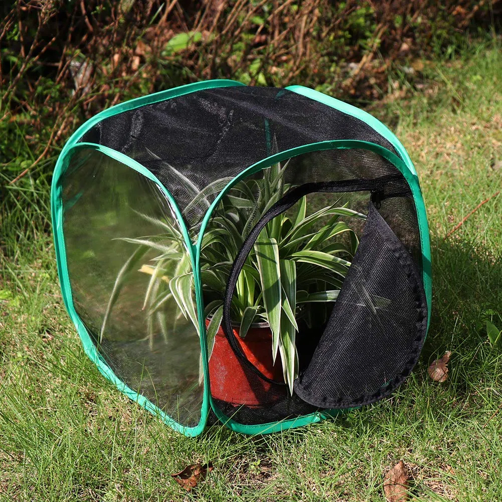 RESTCLOUD Insetto e Farfalla Habitat Cage Terrarium Pop-up 32 x 30 x 30 cm