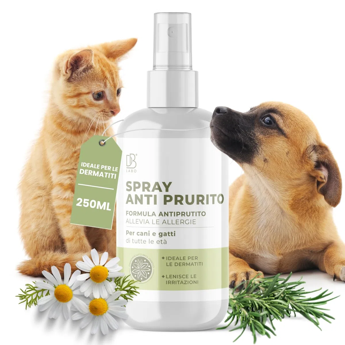Spray Anti Prurito per Cani e Gatti 250ml | Lenisce Fastidio, Prurito e Dermatite Cane e Gatto | Formula Naturale a Base di Aloe Vera, Camomilla e Rosmarino | Sicuro, Vegan per Tutte Le età
