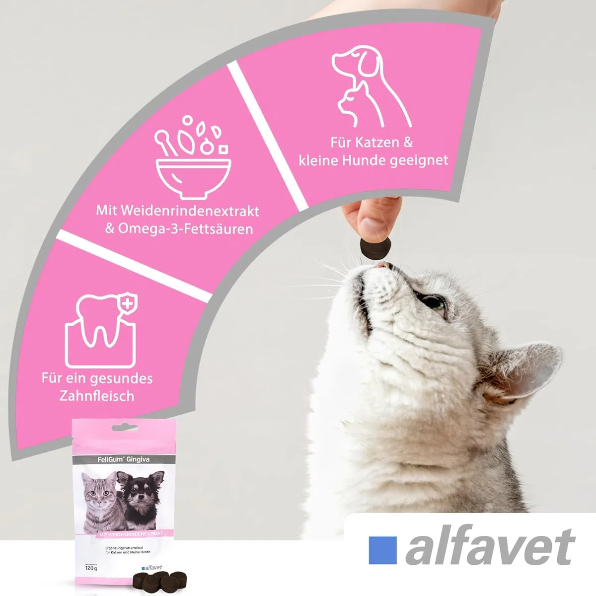 Alfavet FeliGum Gingiva (120 g) – alimento complementare per cani e gatti – soft drops per gengive e cavità orale – con Omega-3, vitamina E ed estratto di salice