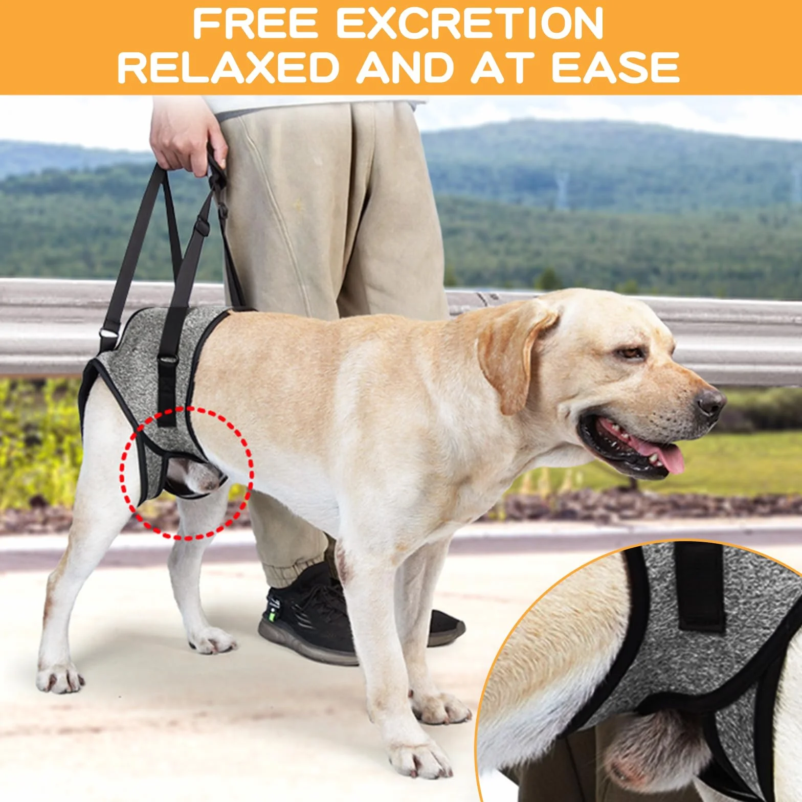 Dokeno - Imbracatura per Cani - Pettorina Cane Portatile, Zampe Posteriori, Grigio (XL)