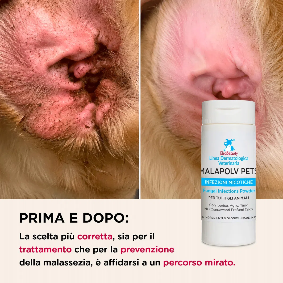 Malapolv Pets Polvere Antifungina Naturale per Cani e Gatti, Malassezia e Micosi Cutanee, 40 g