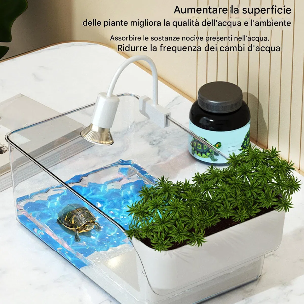 Acquario per Tartarughe | Riposo per Tartarughe,Acquario Per Tartarughe Per Scuole Casa Rifugi Animali Educatori Natura