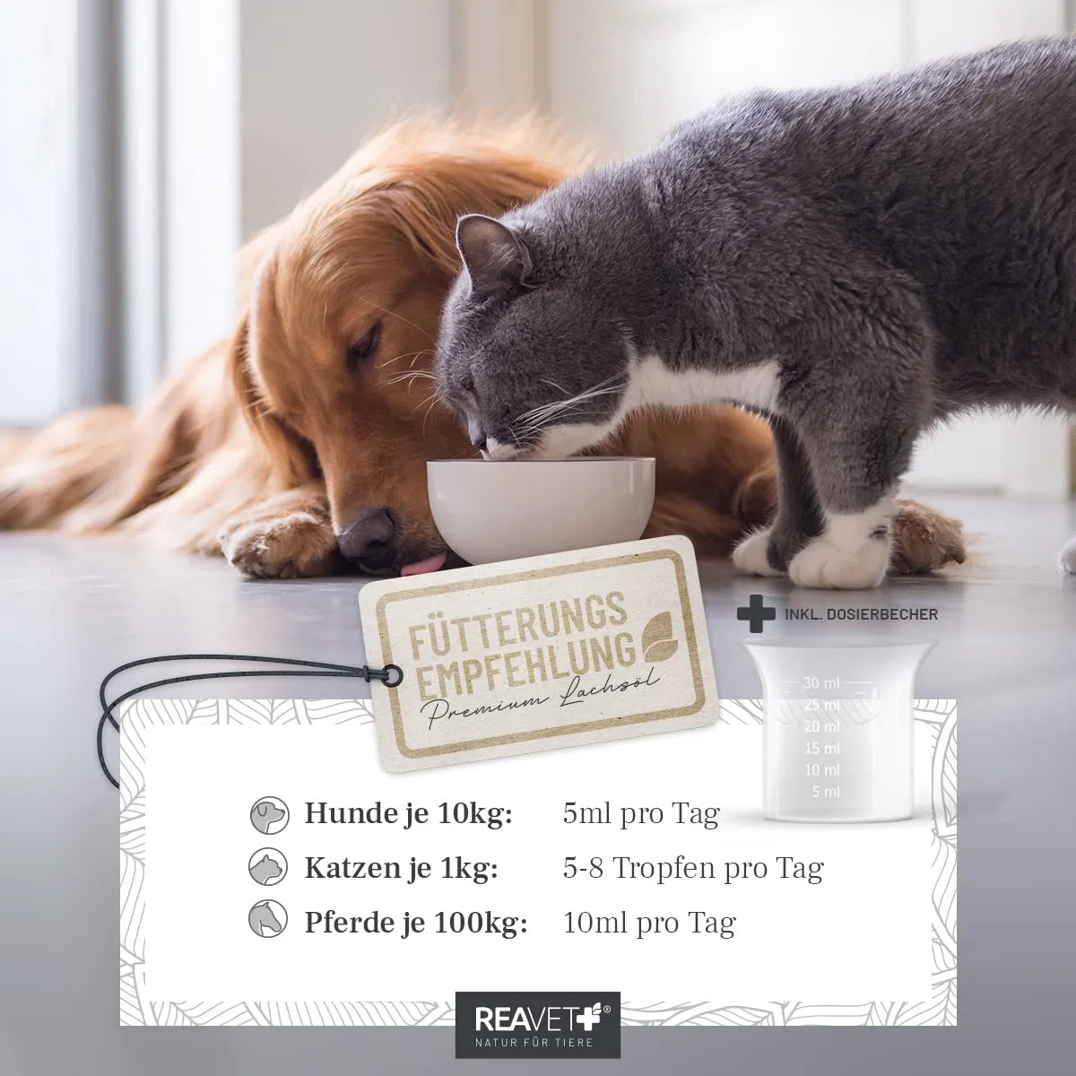 ReaVET Articolo di prova molto buono 02/24 olio di salmone per cani, gatto 250 ml – Ricco di Omega 3 & 6, olio di pesce cane ad alto dosaggio, qualità alimentare senza additivi, fresco imbottigliato
