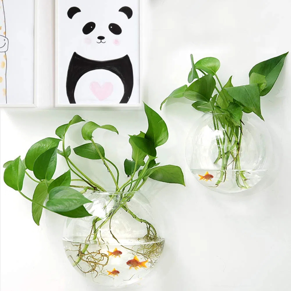 3 Pezzi Acquario da Appendere al Muro, Acquario da Appendere al Muro, Fioriera per Piante da Parete Vasi in Acrilico per Fiori Erba, Mini Acquario Decorazioni per la Casa(Trasparente)