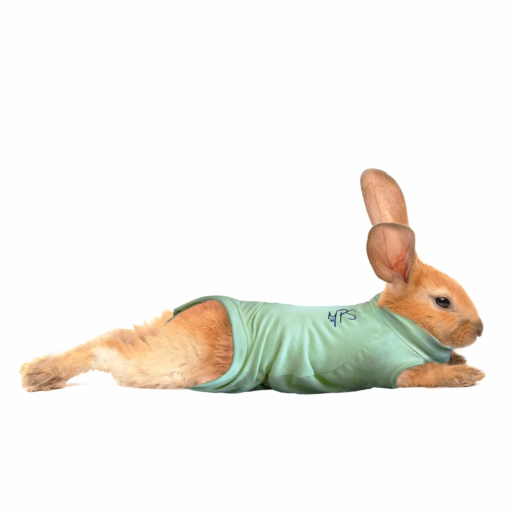 MPS Medical Pet Shirt per Coniglio, Verde, XS
