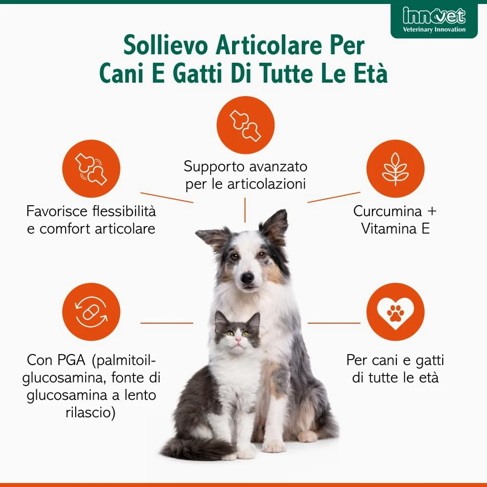 Glupacur Sollievo articolare per cani e gatti di tutte le età con PGA (Palmitoil-Glucosamina)), Estratto di curcuma longa e Vitamina E – Alimento complementare – 30 stick