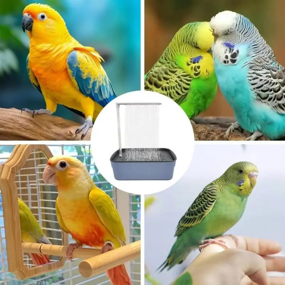 Vasca da Bagno per Uccelli,Vasca da Bagno Automatica per Pappagalli,Vasca per Uccelli,Vasca da Bagno per Pappagalli,Automatico Uccello Vasca da Bagno,per Pappagallo