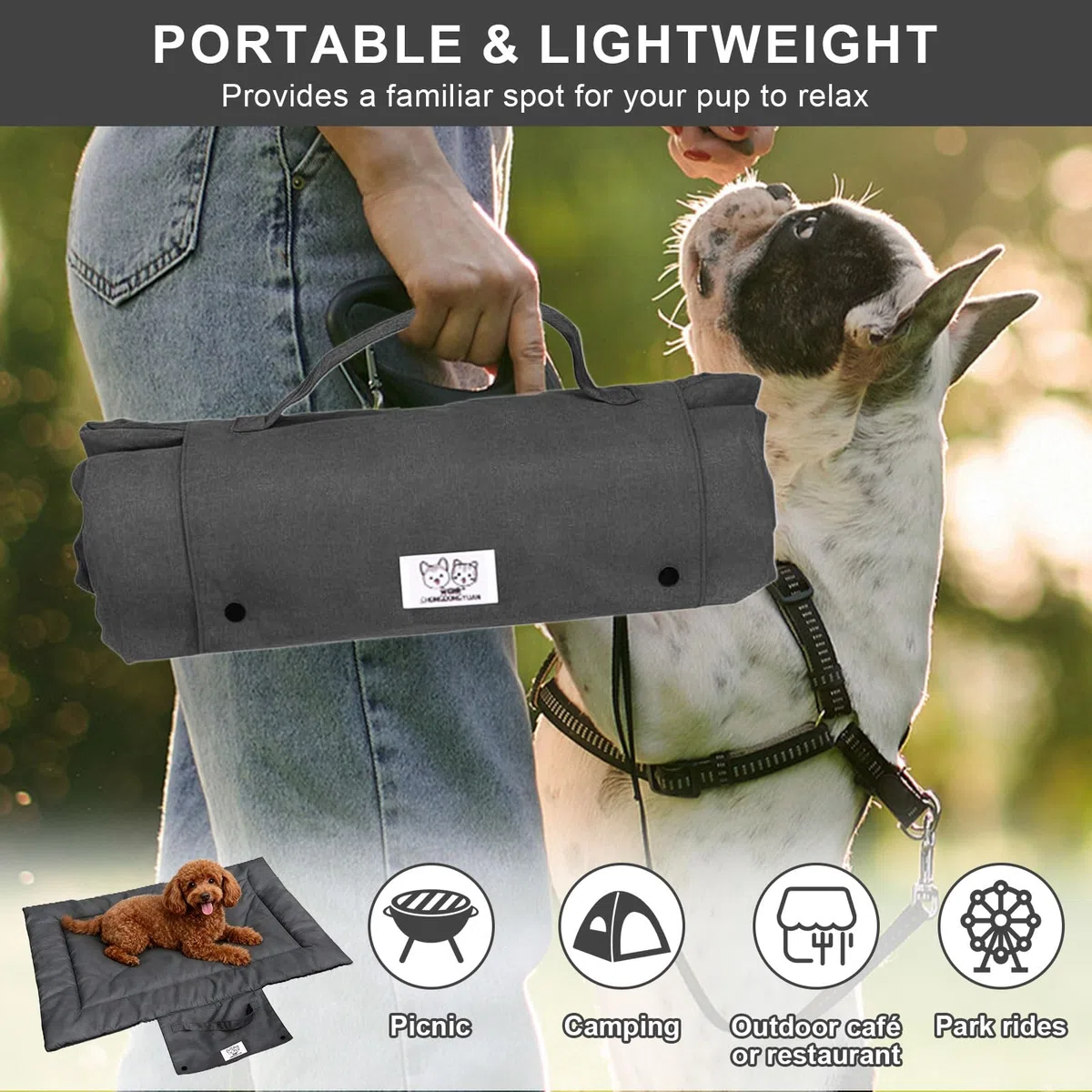 Coperta per cani da viaggio, 70 x 50 cm, portatile e pieghevole, morbida coperta per cani e gatti, lavabile, da viaggio, per divano, auto ed esterni