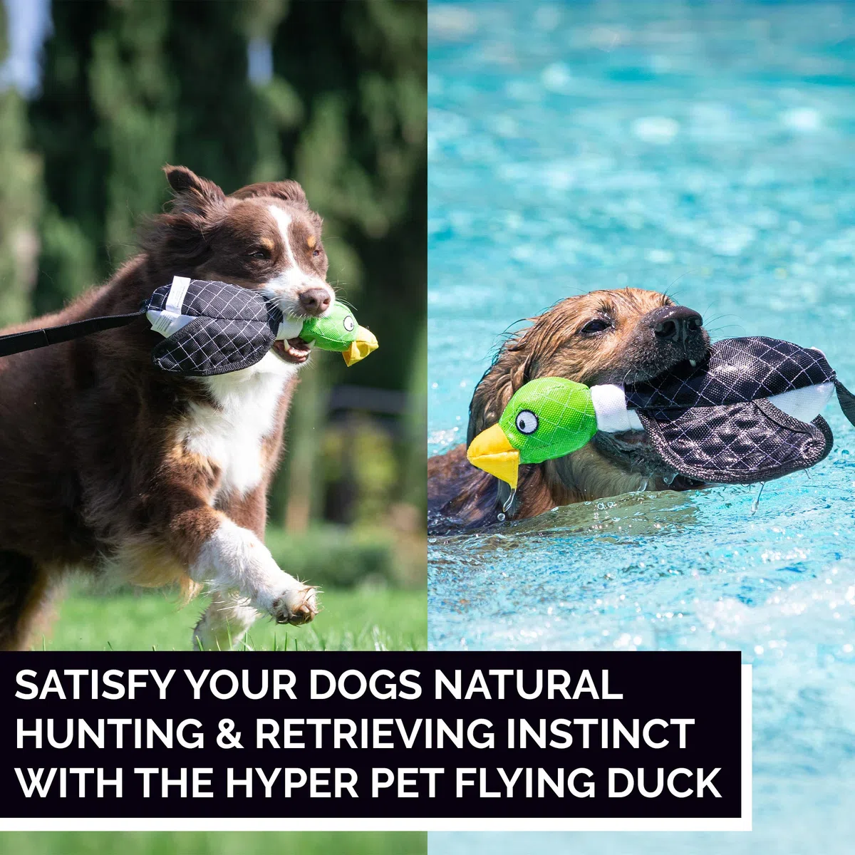 Hyper Pet Hyper Dog Flying Duck