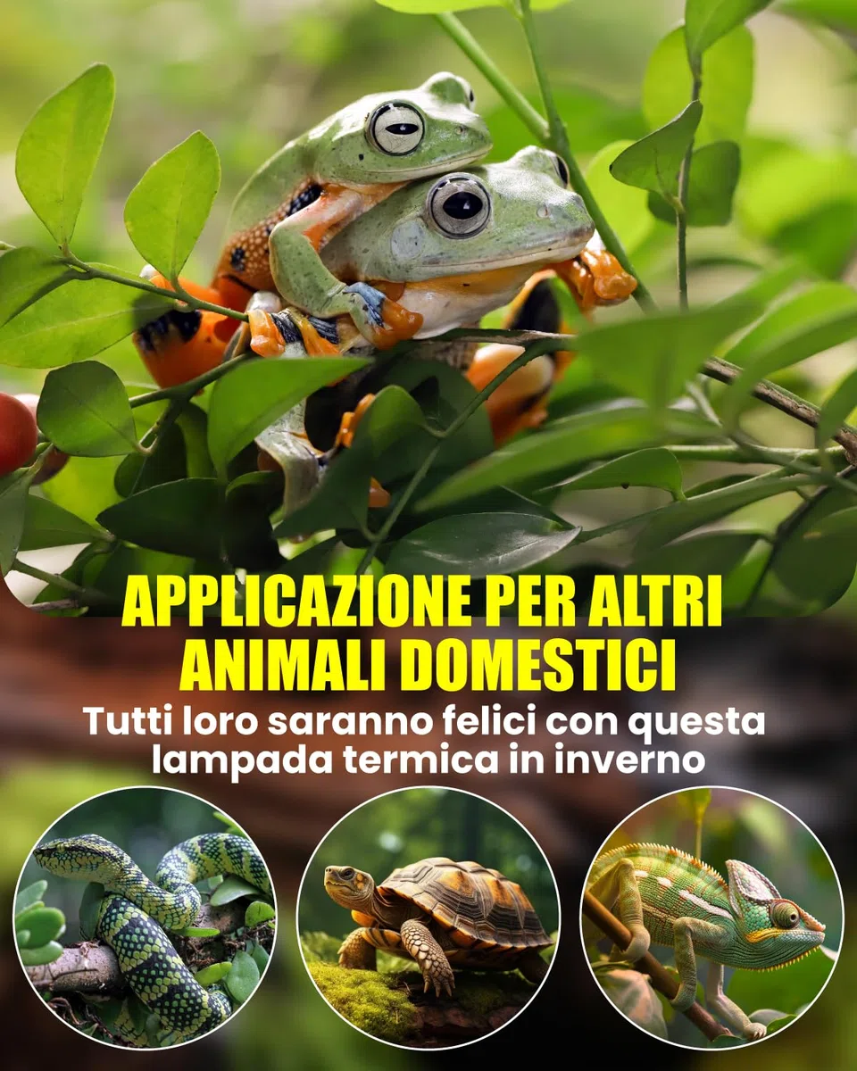 Lampada Riscaldante uvb Tartarughe con 2 Lampadine UVA/UVB da 50W Regolabili a 360° Lampada per Anfibi Adatto per Tartaruga, Ragno, Lucertola, Serpente, Anfibi, Cockatoo, Chameleon