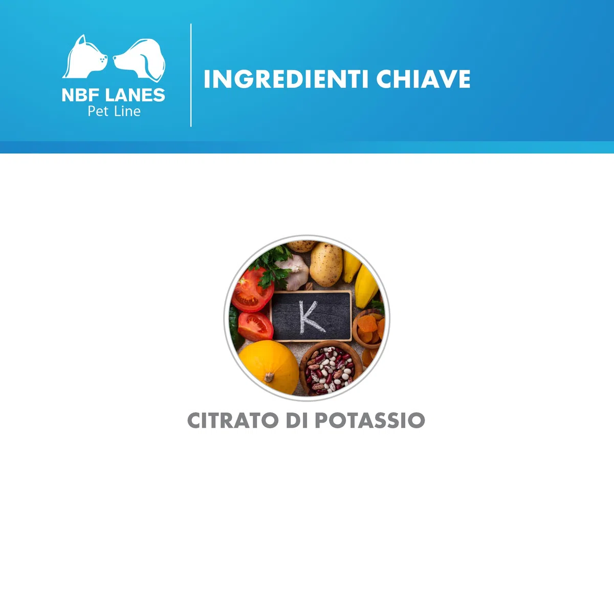 NBF Lanes | Karenal Pet Cane e Gatto, Polvere Appetibile 50 g, per gli Stati di Carenza di Potassio e Ipokaliemia
