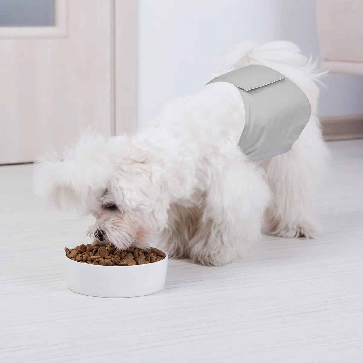 [3 Pezzi] Avont Pannolini Cani Maschi, Fascia Igienica per Cane Maschi Altamente Assorbenti, Mutandina per Cane, Impermeabile e Riutilizzabili, Lavabili in Lavatrice -XXL