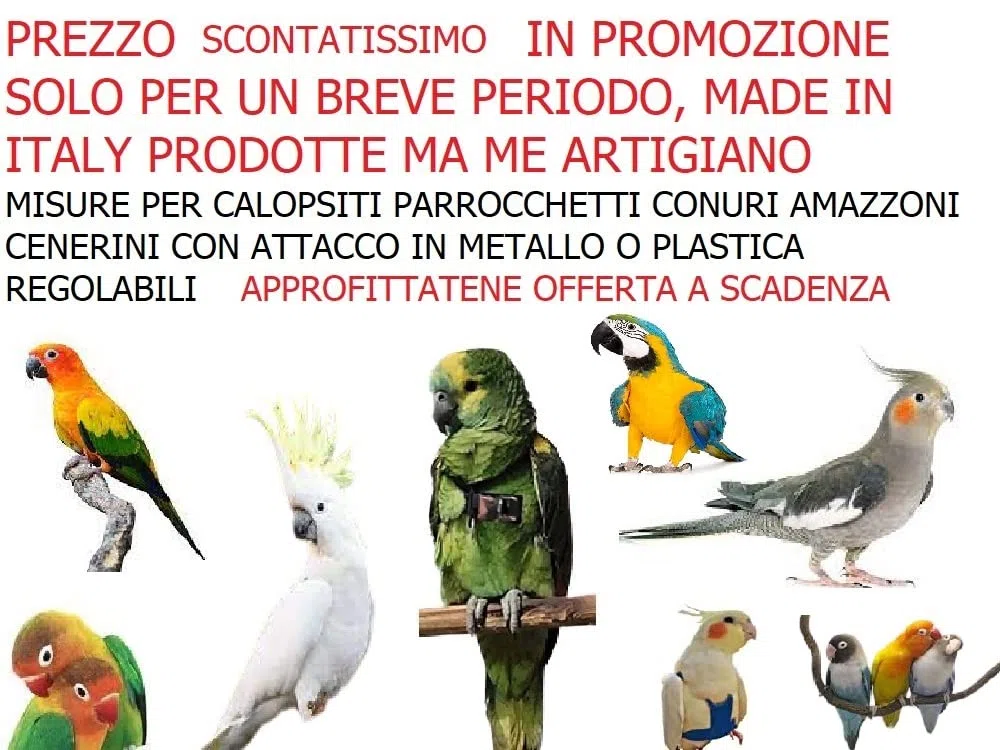 PETTORINA PAPPAGALLI PARROCCHETTO DAL COLLARE corda 3mm elastica nera al collo, fasce nastro 10mm, 2 attacchi,ACCIAIO SGANCIABILI REGOLABILI con GUINZAGLIO 1M xtutte le razze + amuleto