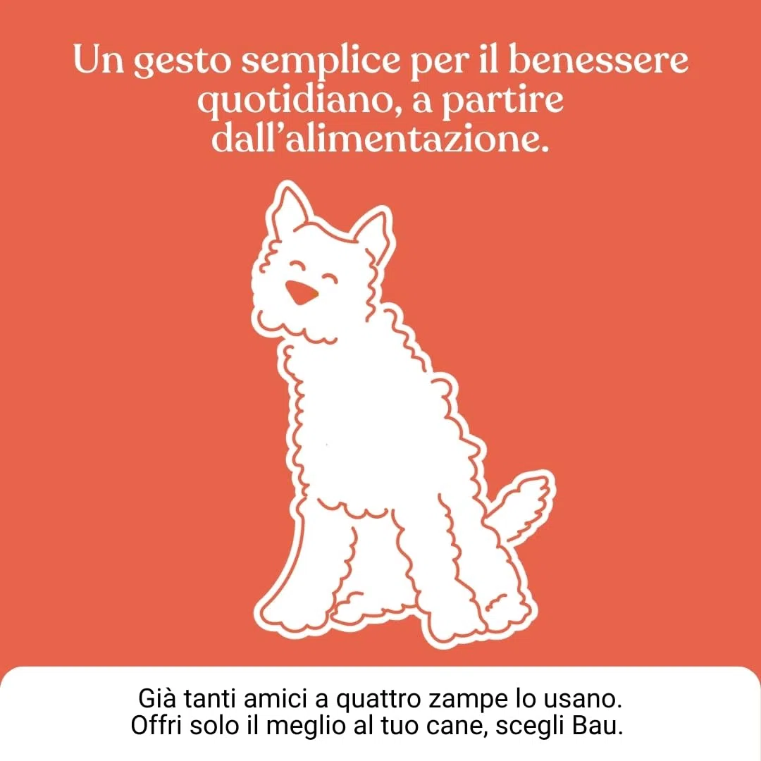 Bau Olio di Salmone per Cani Adulti con Semi di Lino ed Enotera – Omega 3 e 6 Naturali – Supporto per Pelle, Pelo Lucido e Vitalità – Integratore Liquido per Cani - Adulti