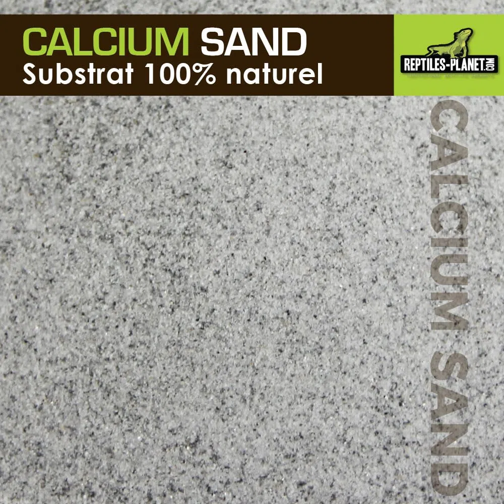 Rettili Planet Lettiera Sabbia di Calcio terrario Calcio Sand Artic Bianco 5 kg