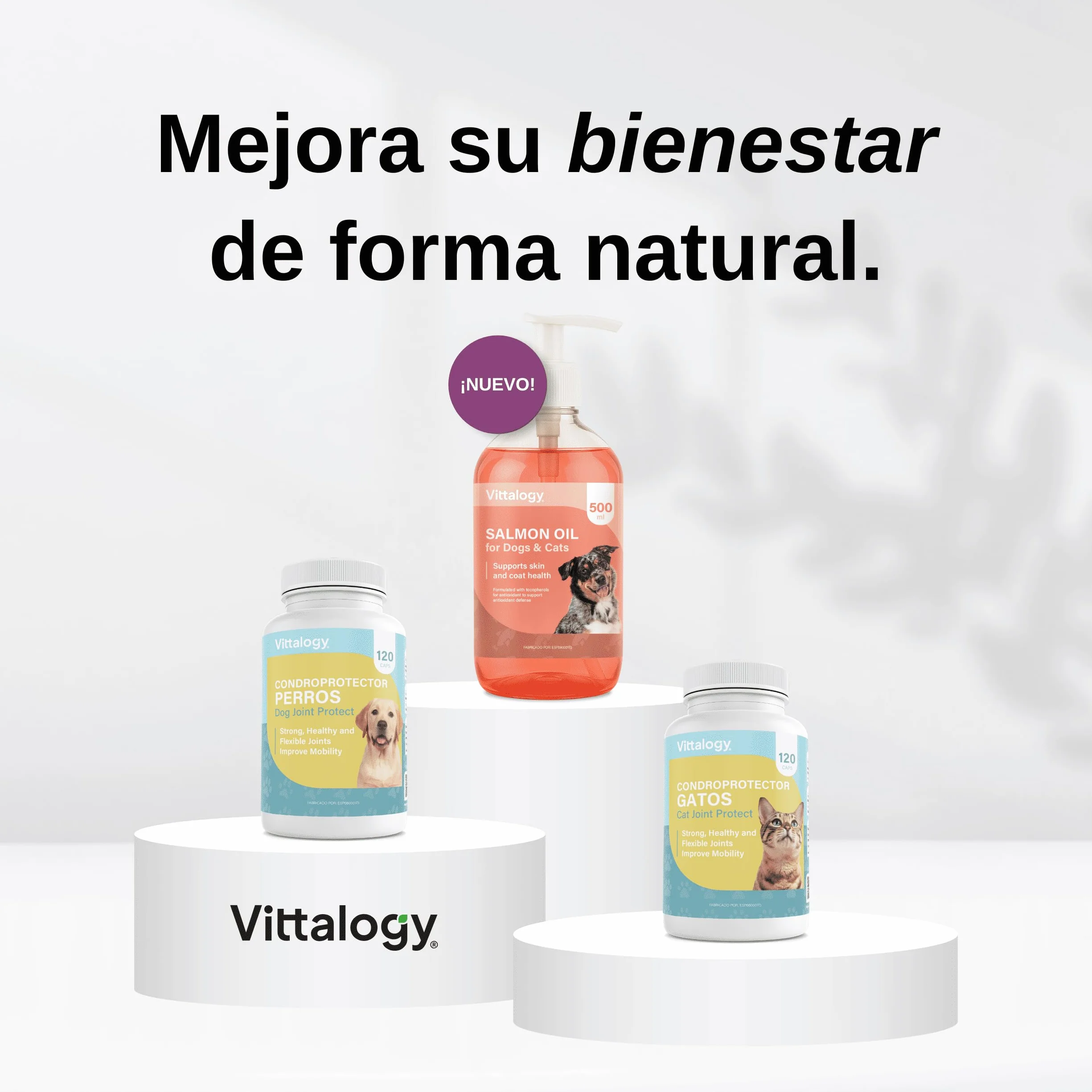 Condroprotettore per gatti. Antinfiammatorio naturale con collagene, condroitina, ialuronico e curcuma. Integratore alimentare per fianchi, articolazioni e cartilagini - 120 capsule