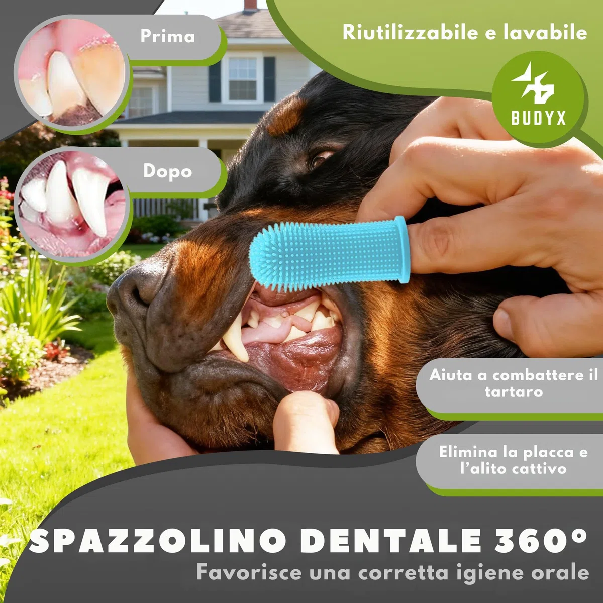 Kit per la toelettatura degli animali domestici BUDYX: pettini, spazzole, guanto per la toelettatura, tagliaunghie, lima per unghie, spazzolino da denti. Set per la toelettatura e l'igiene di cani