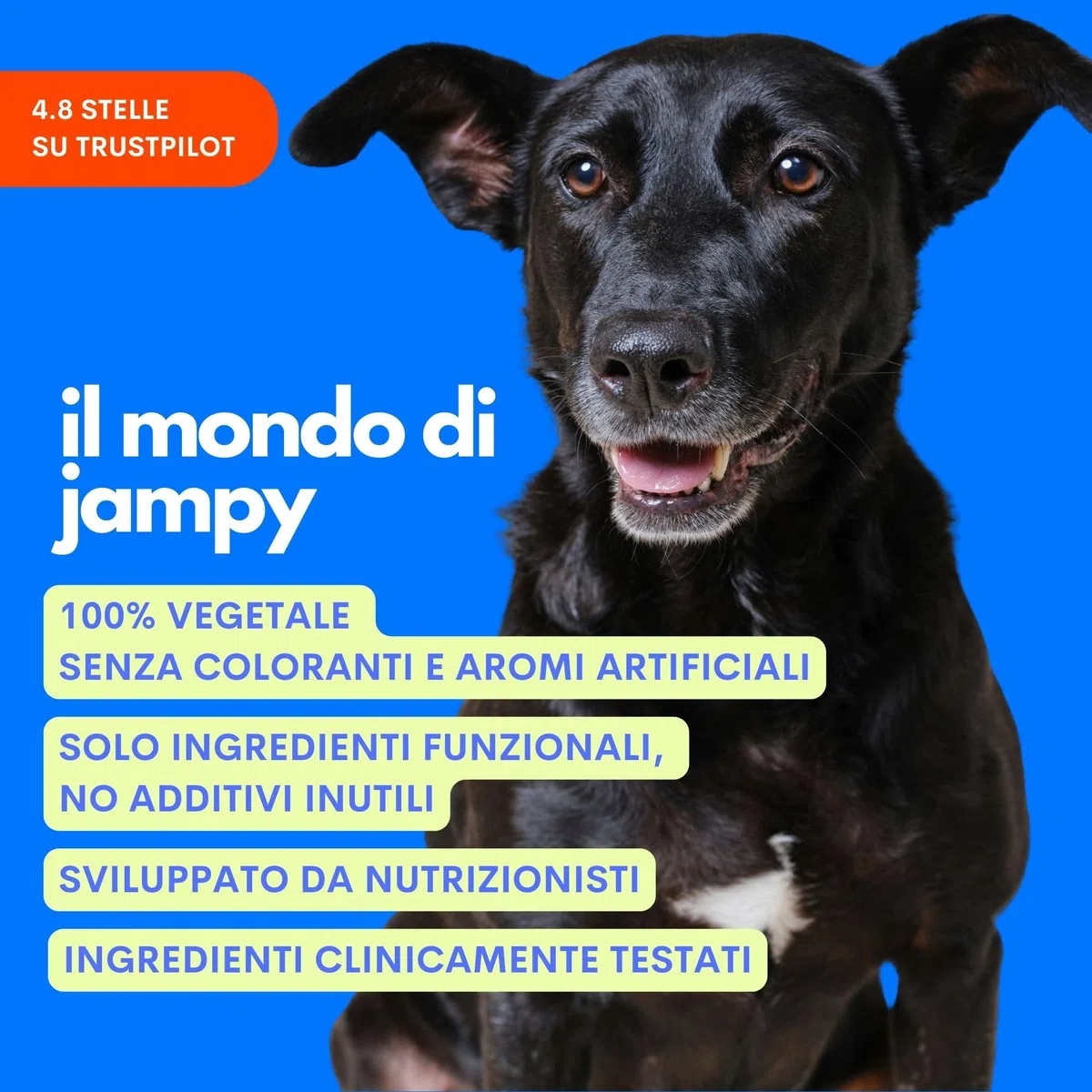 JAMPY The Smart Omega - Omega3 Vegano Senza Ritorno di Gusto e Odore di Pesce - Integratore per Pelle, Pelo, Prurito. Base di Microalghe e Ribes. Antiossidante, Ipoallergenico. PLASTIC-FREE Pack.