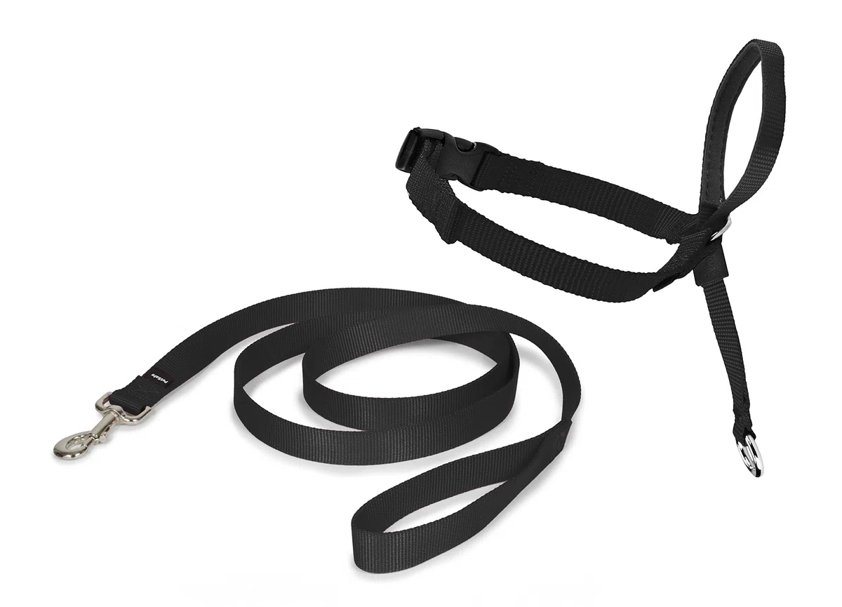 PetSafe - pettorina Easy Walk