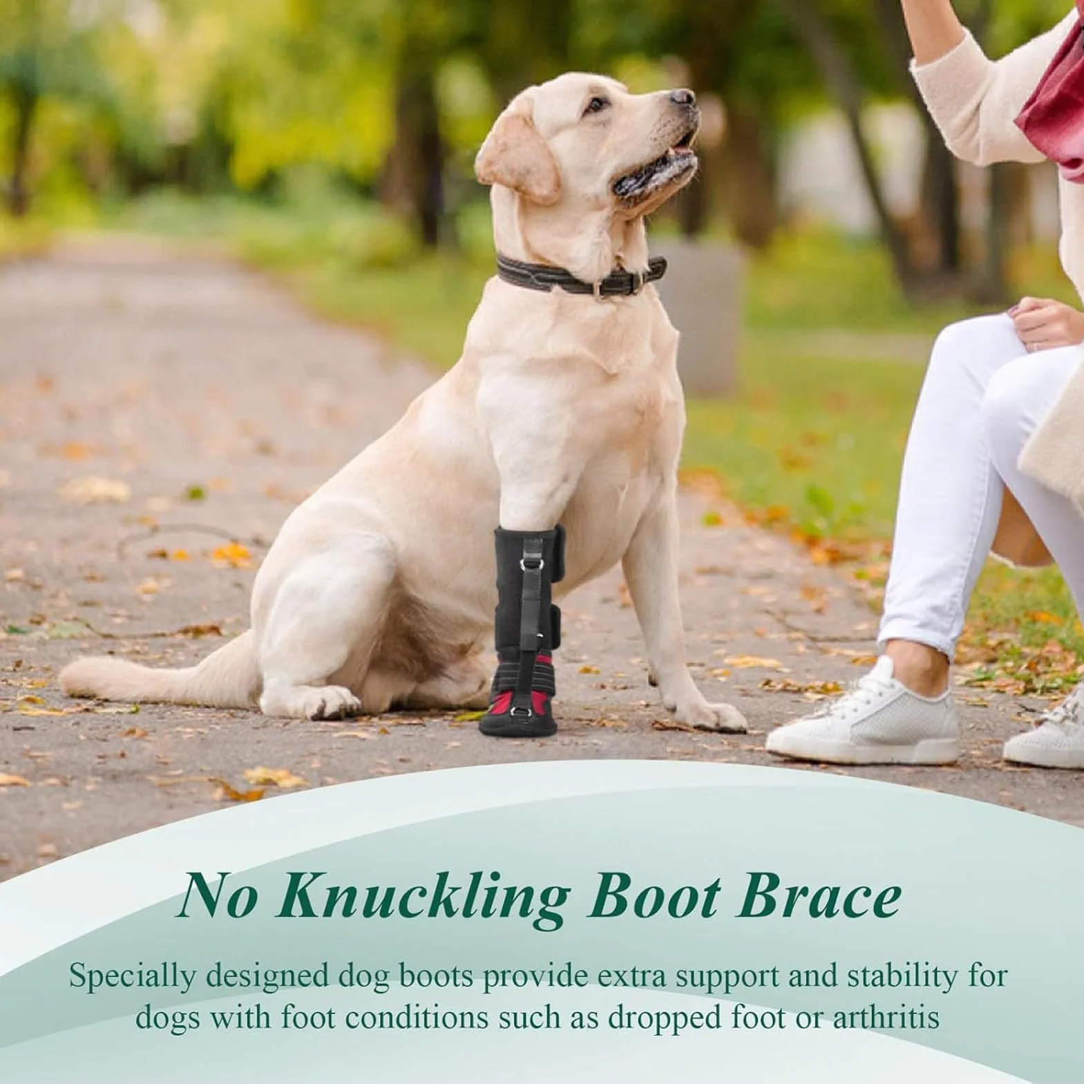 Tutore per Piede Cadente per Cani, Tutore per Gamba per Stivale per Cane per Supporto Gamba, Scarpe Correttive per Cani per Sollevare in Sicurezza le Dita dei Piedi per Problemi (L)