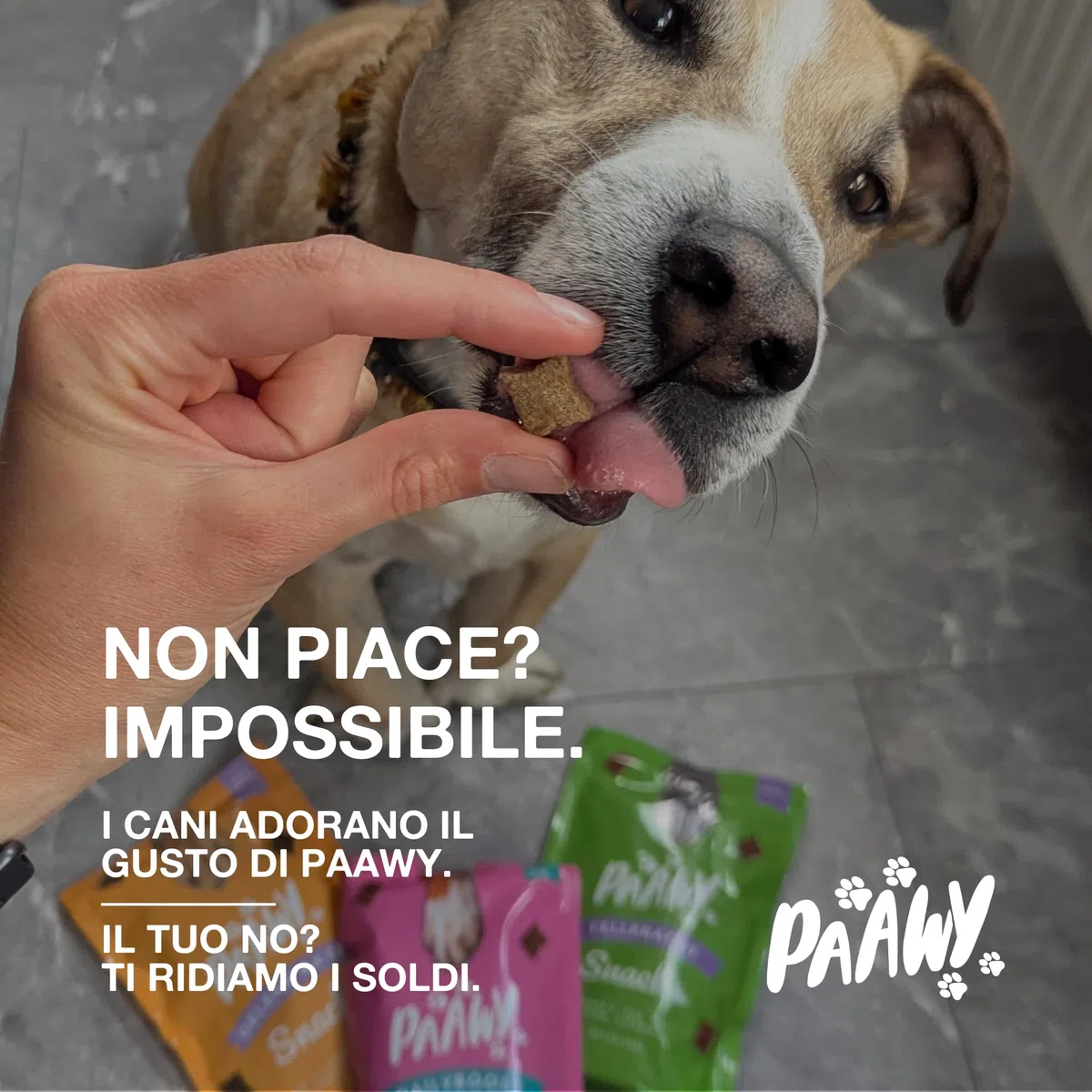 Integratore Articolazioni Cane di Paawy | TEST OTTIMO | 180 Snacks Condroprotettori e Antinfiammatorio Naturale con Glucosamina, Condroitina e Collagene per Cani per la Cura delle Ossa e Articolazioni