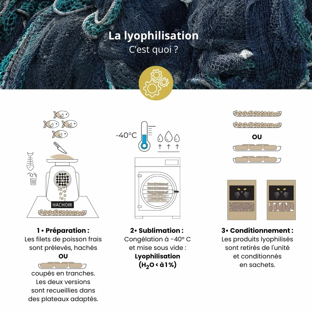 Crocchette Barf: Filetti Interi di Sardine a fette Liofilizzato