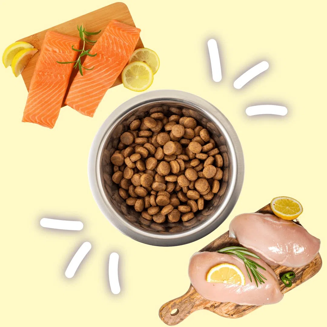 Il Cibo Di Beppo - Cibo Secco Per Gatti Sterilizzati - Crocchette Senza Cereali Di Alta Qualità: Grain Free E Senza Glutine - Alimento Completo - 1.5Kg (Pollo con Tonno e Salmone)