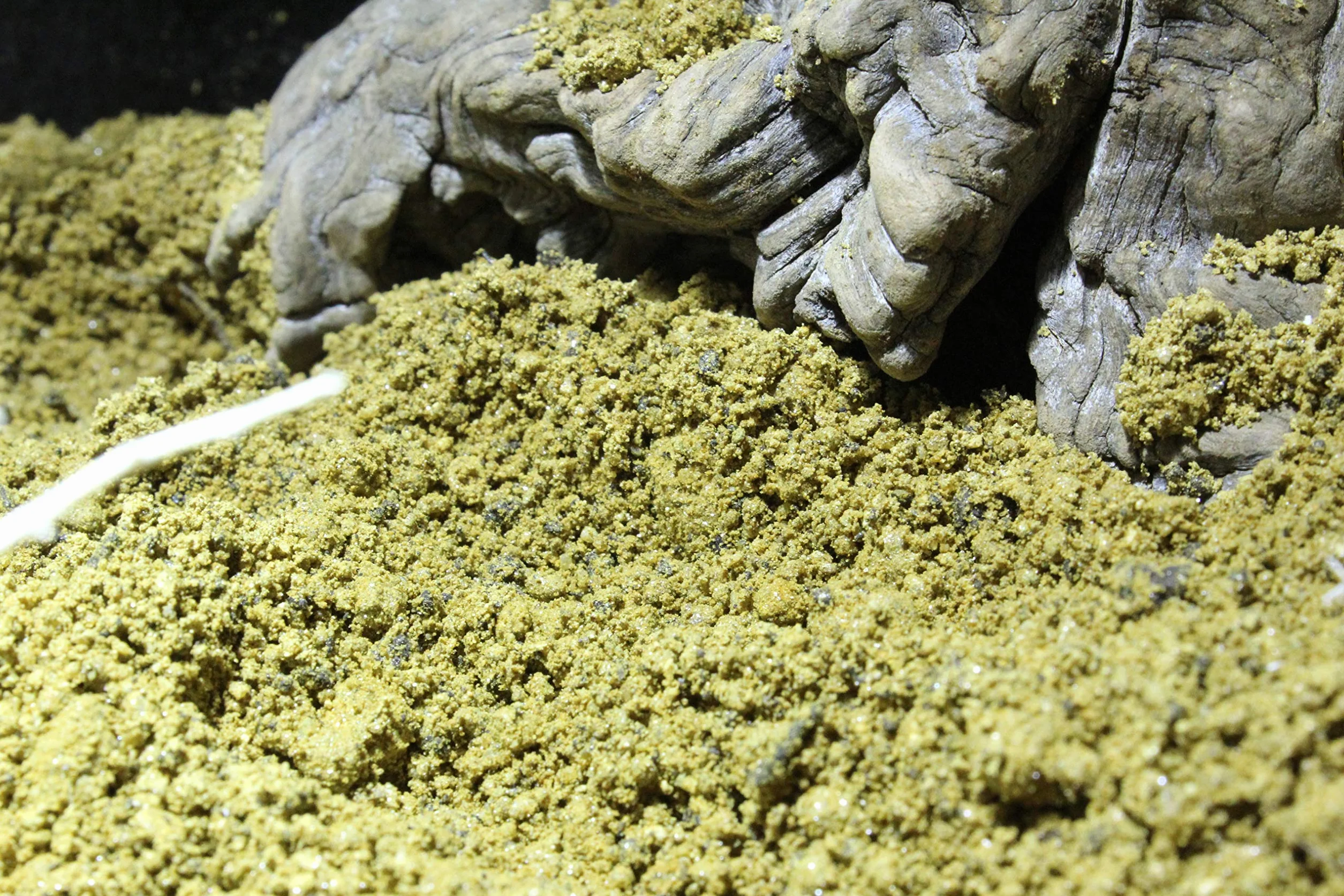 Lucky Reptile Desert Bedding Golden Yellow, 7 Litri, substrato per terrari del Deserto, scavabile