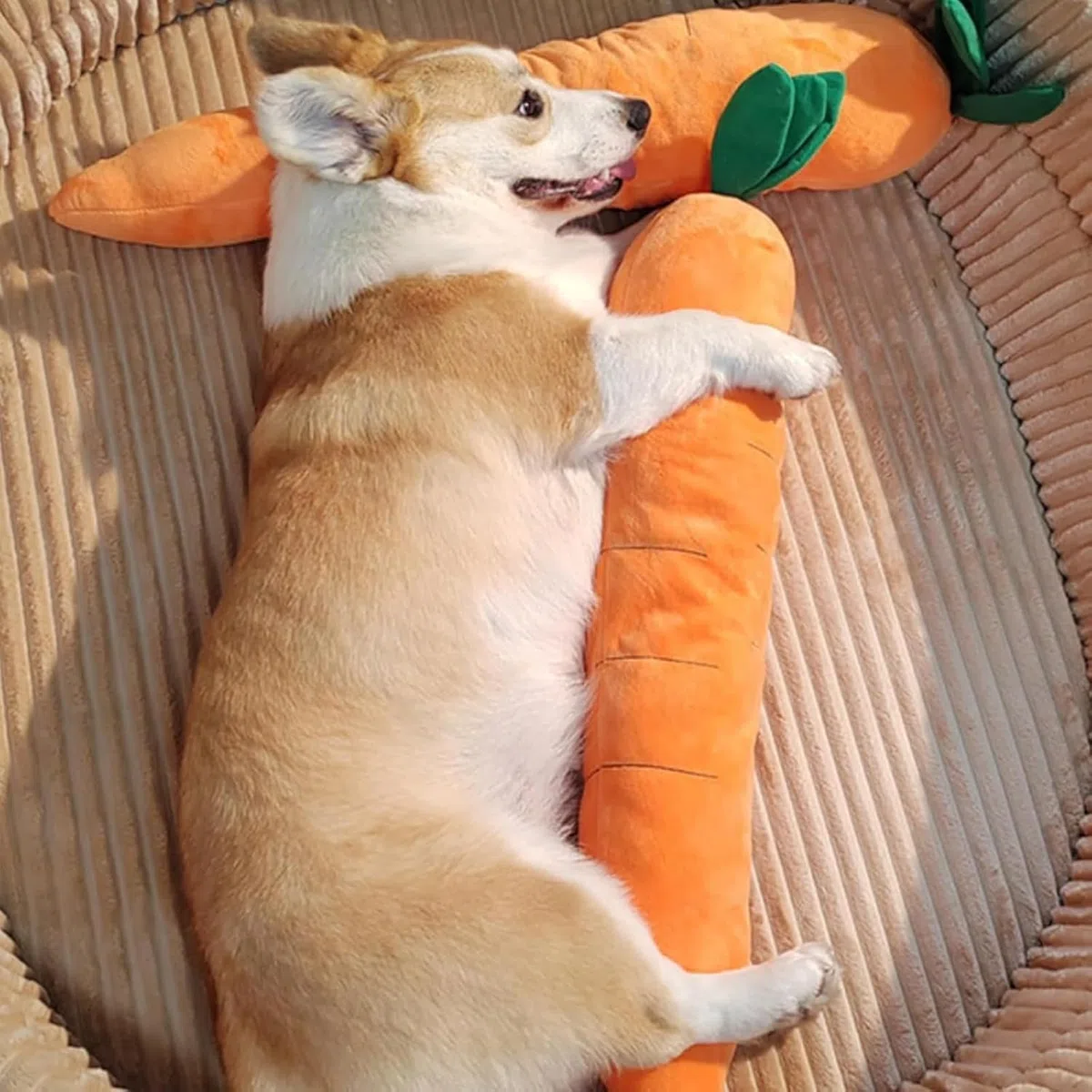 Generico Dog Toy - Carota gigante calmante per cani, carote ripiene giganti, giocattolo per animali domestici, robusto peluche multi-cigolii, per cani di taglia piccola, media e grande