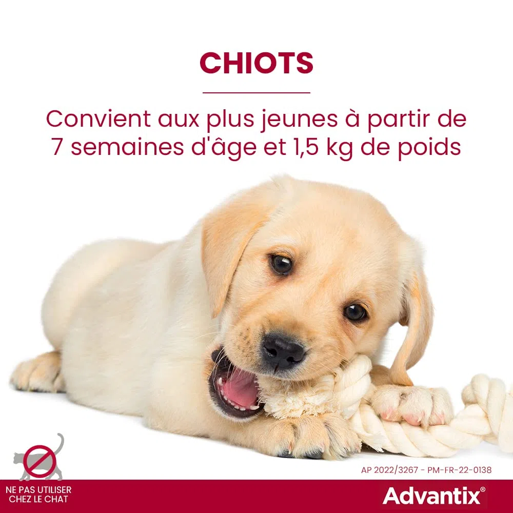 ADVANTIX 6 pipettes antiparasitaires - Pour tres petit chien de 1,5 a 4kg