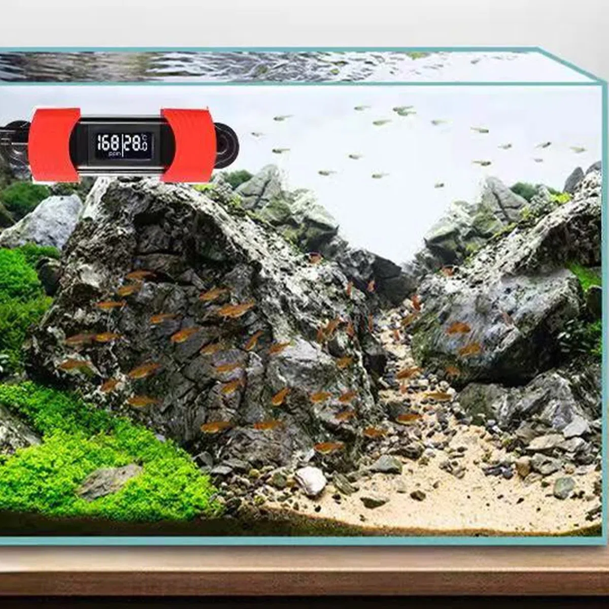Termometro per Acquario Display Digitale HD Alimentato Tramite USB Tipo di Calibrazione Impermeabile Termometro per Acquario per Acqua di Mare (con il test della