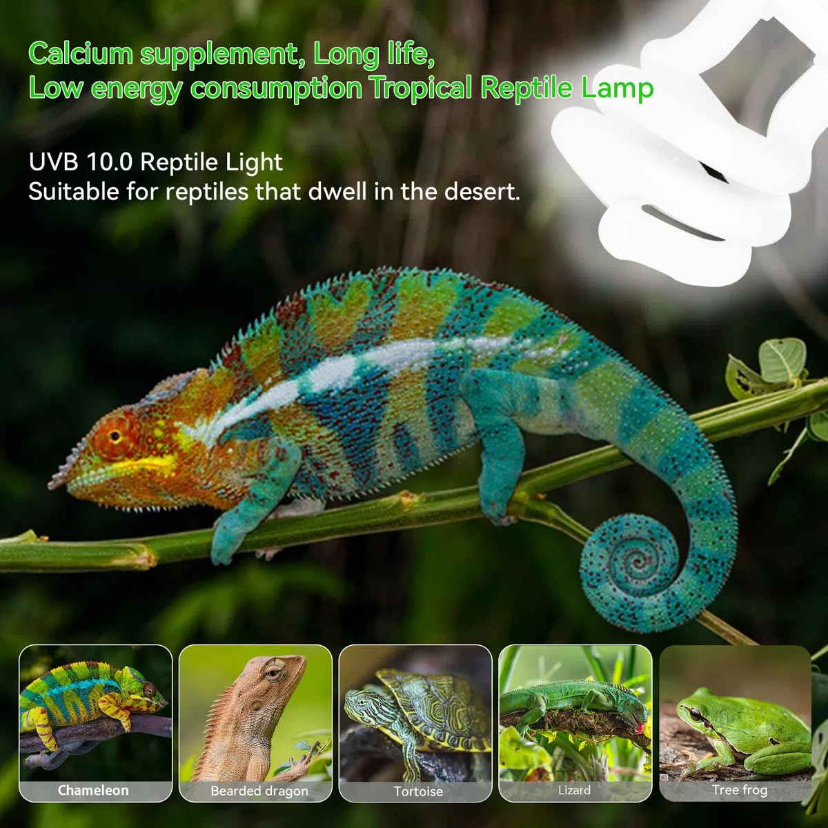 Caldarax Lampada UVB 10.0 per Rettili 26W, E27 UVA UVB Lampadina Tartaruga, AC 220V Lampada Fluorescente Compatta per Lucertole, Serpente, Camaleonte, Draghi Barbuti