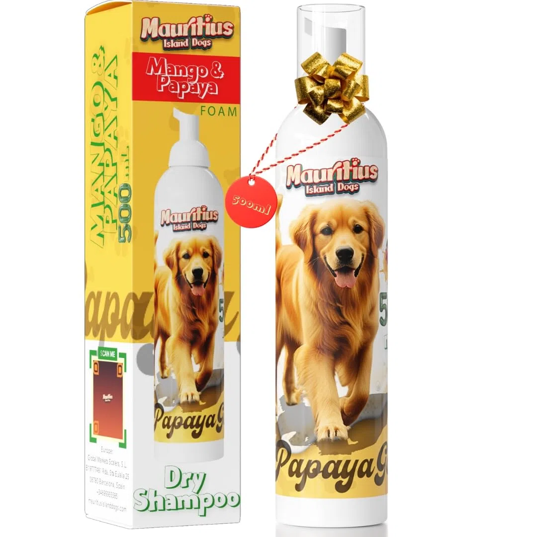 Shampoo Secco per Cani e Gatti Senza Risciacquo 500ML Schiuma Asciugatura Rapida Ingredienti Naturali Ipoallergenico Antiparassitario Idratante Lenitivo e Deodorante (Mango)