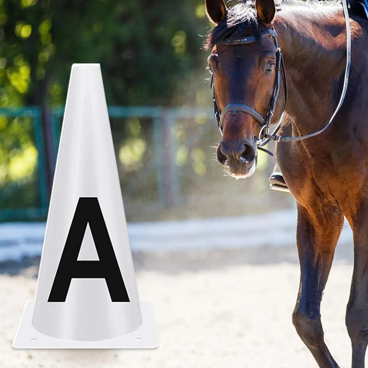 Teksome Attrezzatura per l'addestramento del cavallo,Coni da dressage | Lettere da dressage bianche portatili - Segnalini da dressage da competizione, coni da allenamento sportivo impilabili per