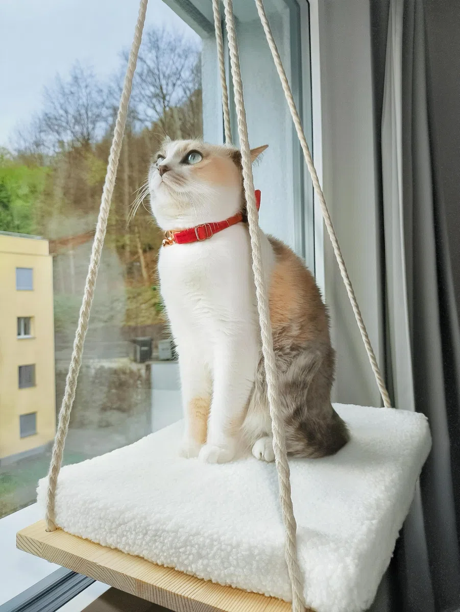 Amaca per Gatti da Finestra | Amaca per Gatti | Cucce per Gatto da Interno | Amaca da Finestra per Gatto | Amaca Finestra con Ventose Resistenti 18 kg Lavabile | Cat Bed | Cat window hammock mirador
