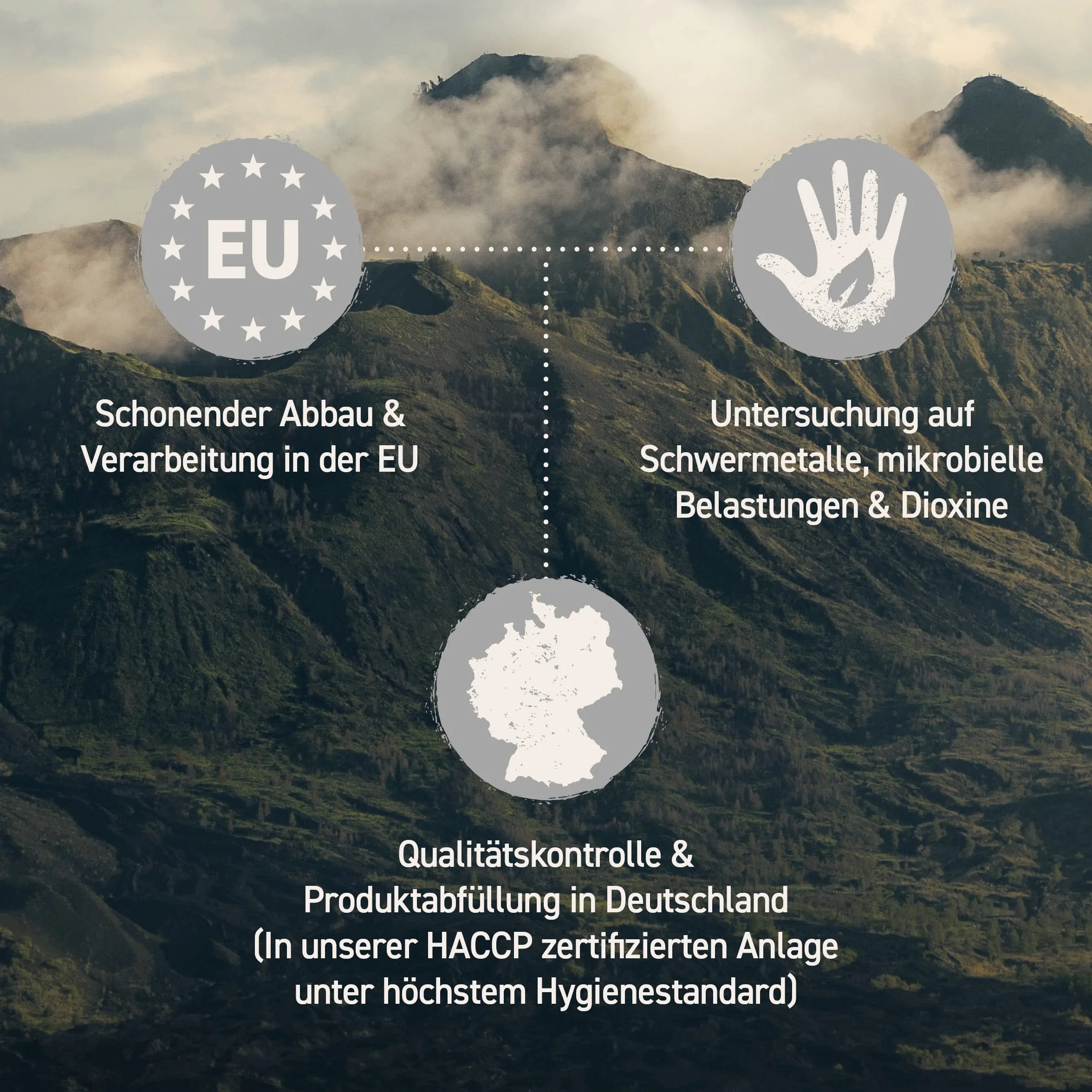 NaturaForte Zeolite in Polvere 500g - Clinoptilolite 92%, Terreno Extra fine in qualità Premium, Senza additivi, Roccia vulcanica Pura e Naturale, Testata e controllata in Germania